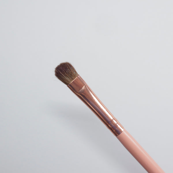 Ombré Nail Brush